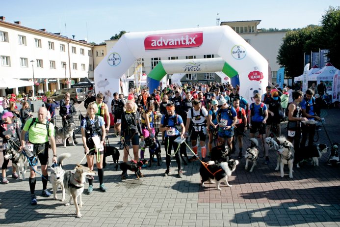 Start Pucharu Polski w Dogtrekkingu w Wiśle